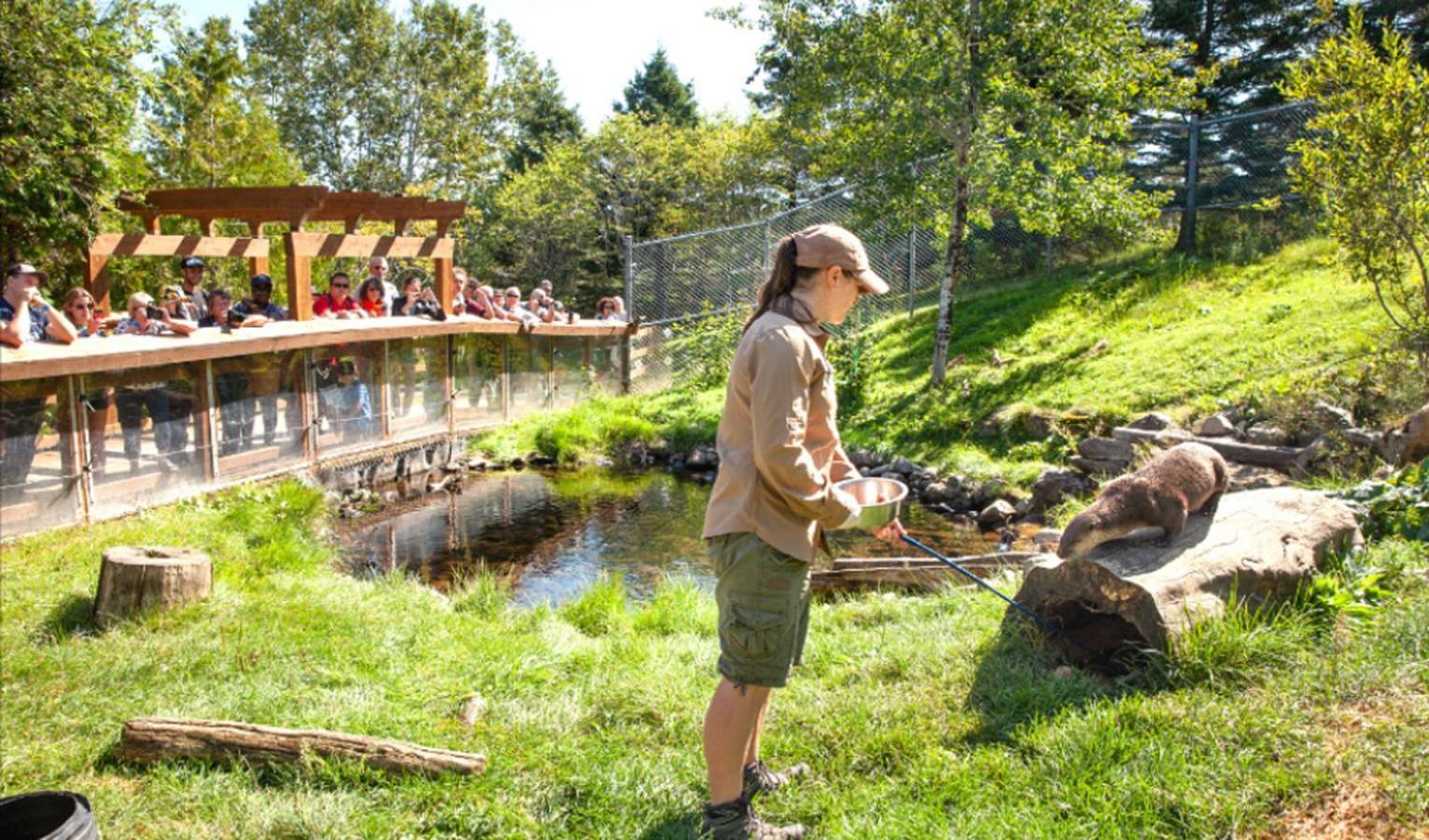 Auberge Soleil De Mer Bonaventure Extérieur photo